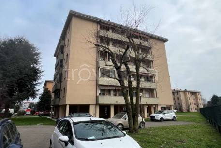 immagine annuncio 1 di 14