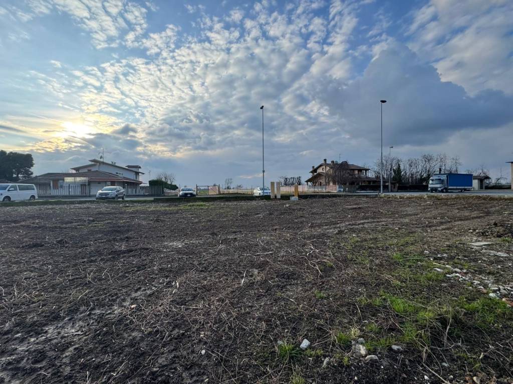 immagine annuncio 6 di 14