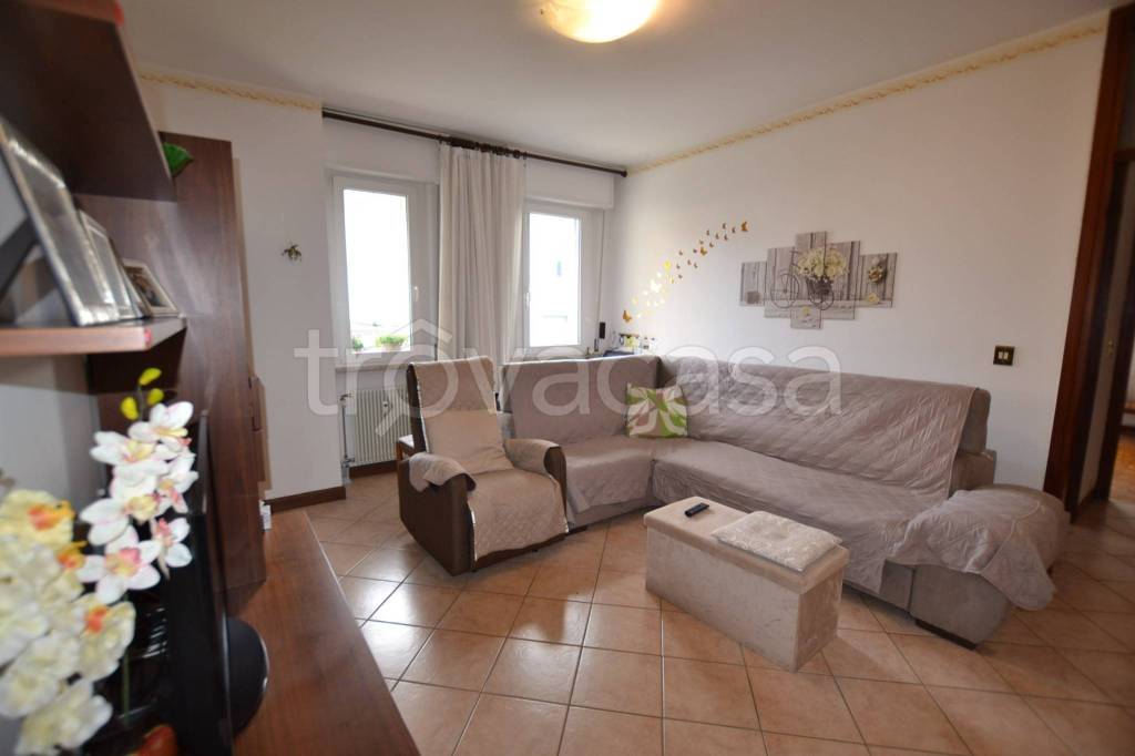 immagine annuncio 1 di 12