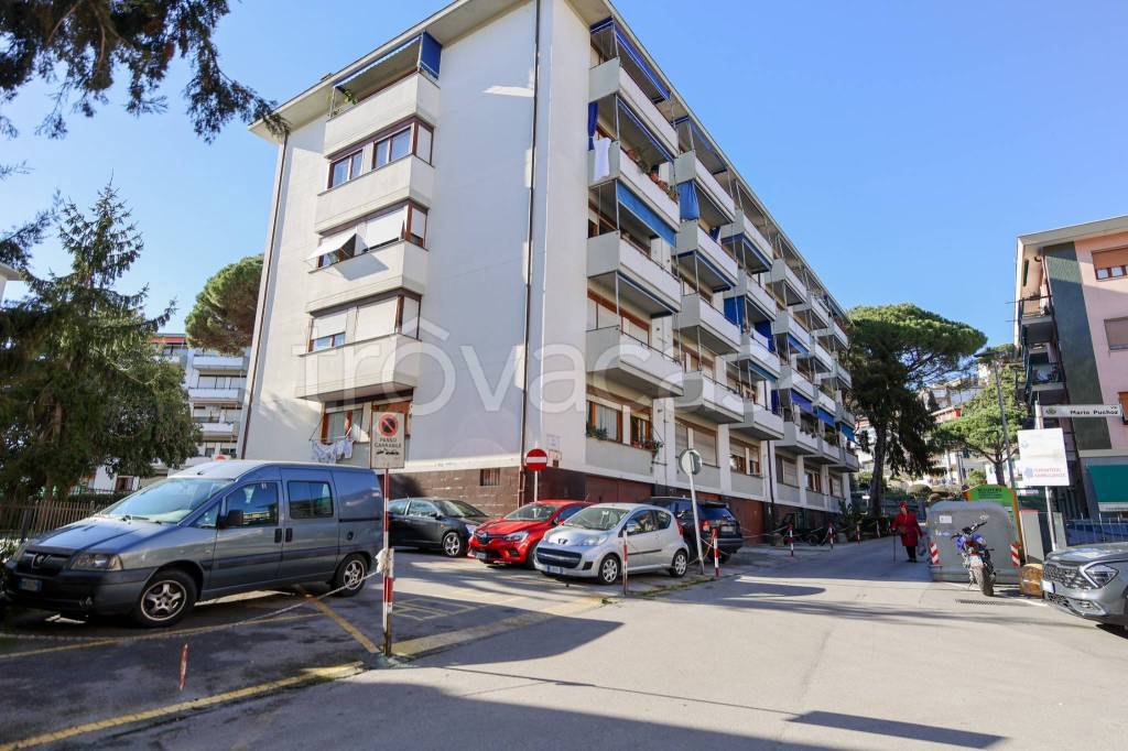 immagine annuncio 2 di 8