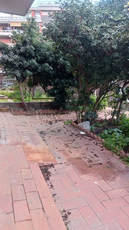 immagine annuncio 9 di 14