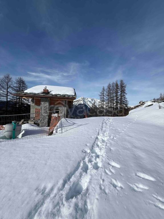 immagine annuncio 3 di 12