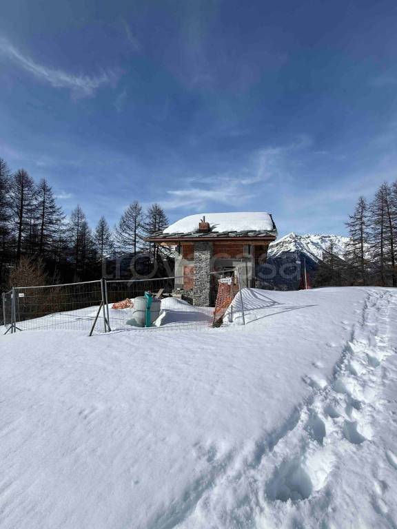 immagine annuncio 4 di 12