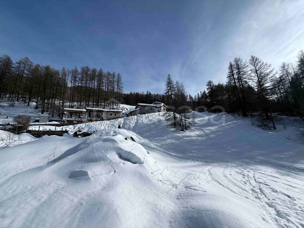 immagine annuncio 9 di 12