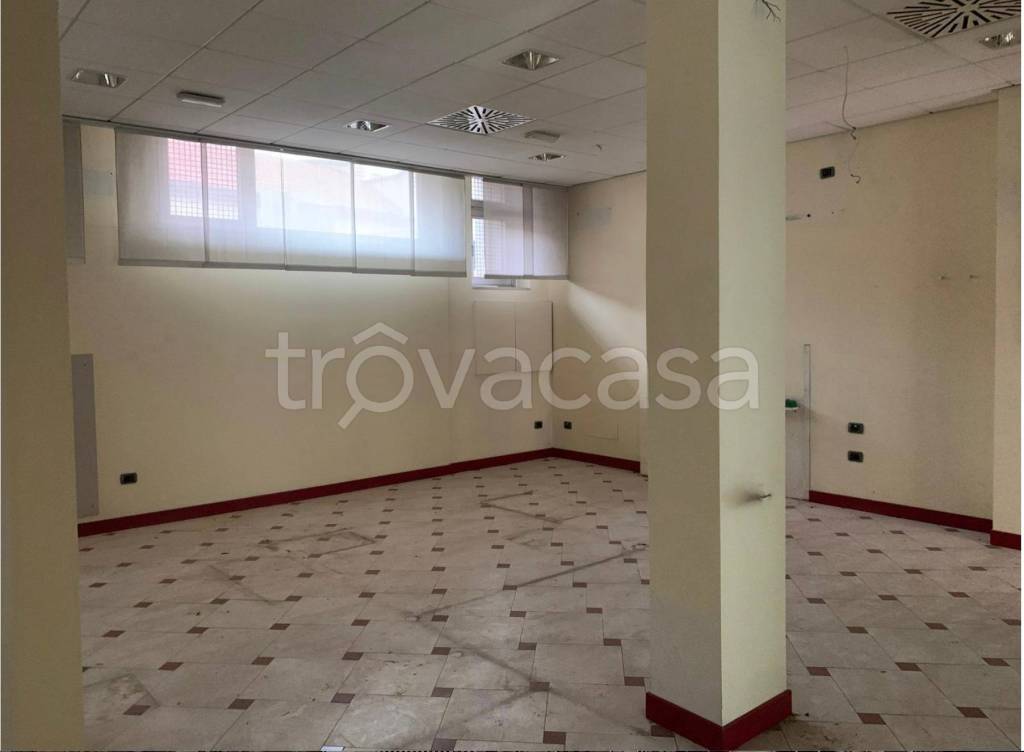 immagine annuncio 5 di 9