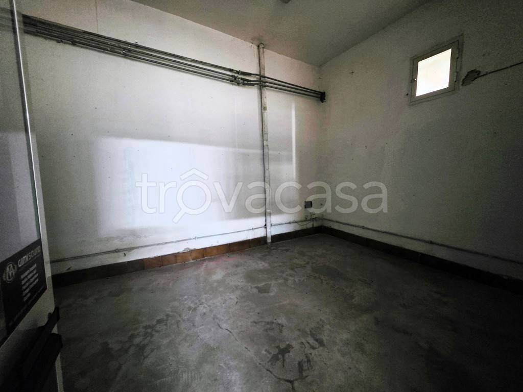 immagine annuncio 5 di 12