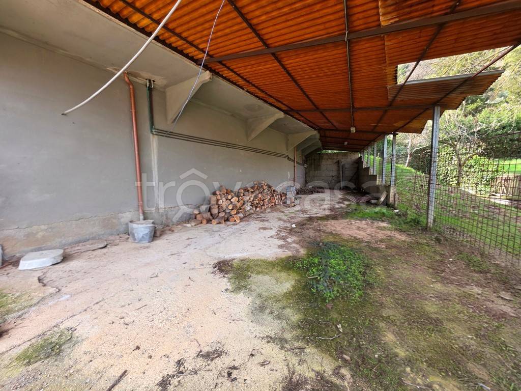 immagine annuncio 9 di 12