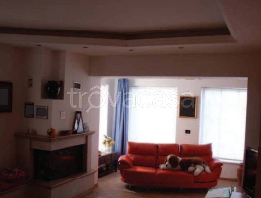 immagine annuncio 2 di 11