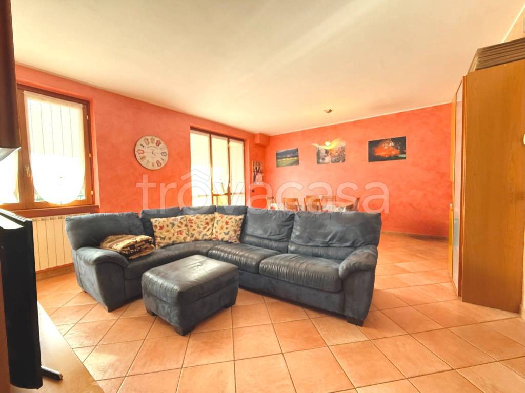 immagine annuncio 6 di 15