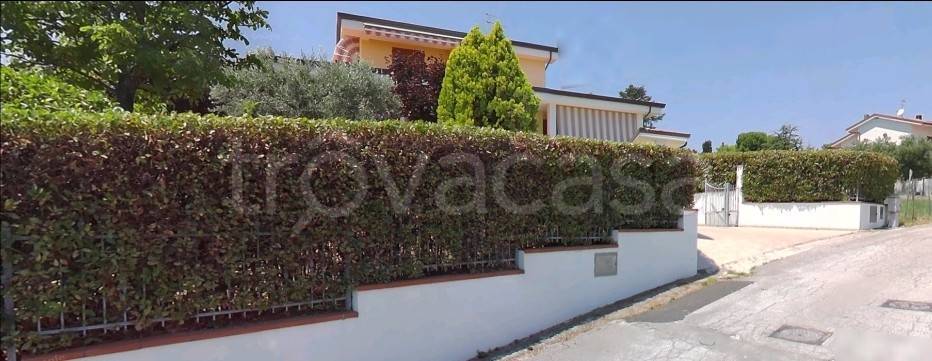 immagine annuncio 4 di 12