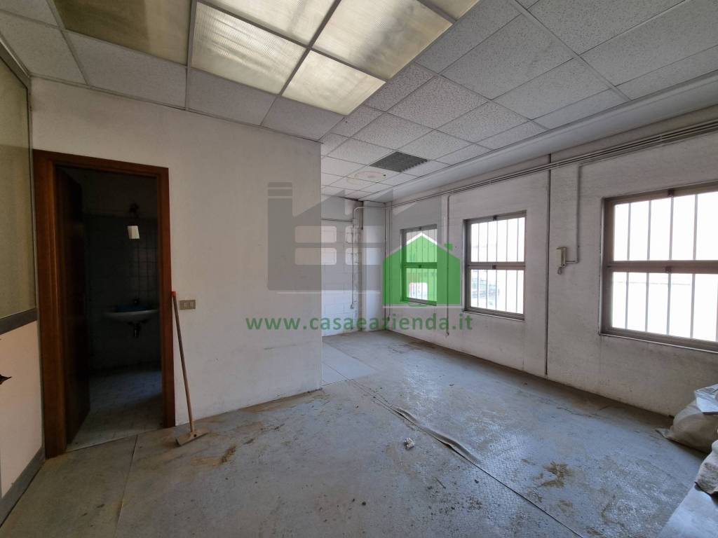 immagine annuncio 7 di 12