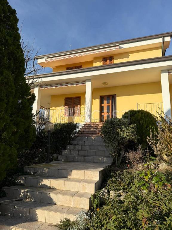 immagine annuncio 7 di 12