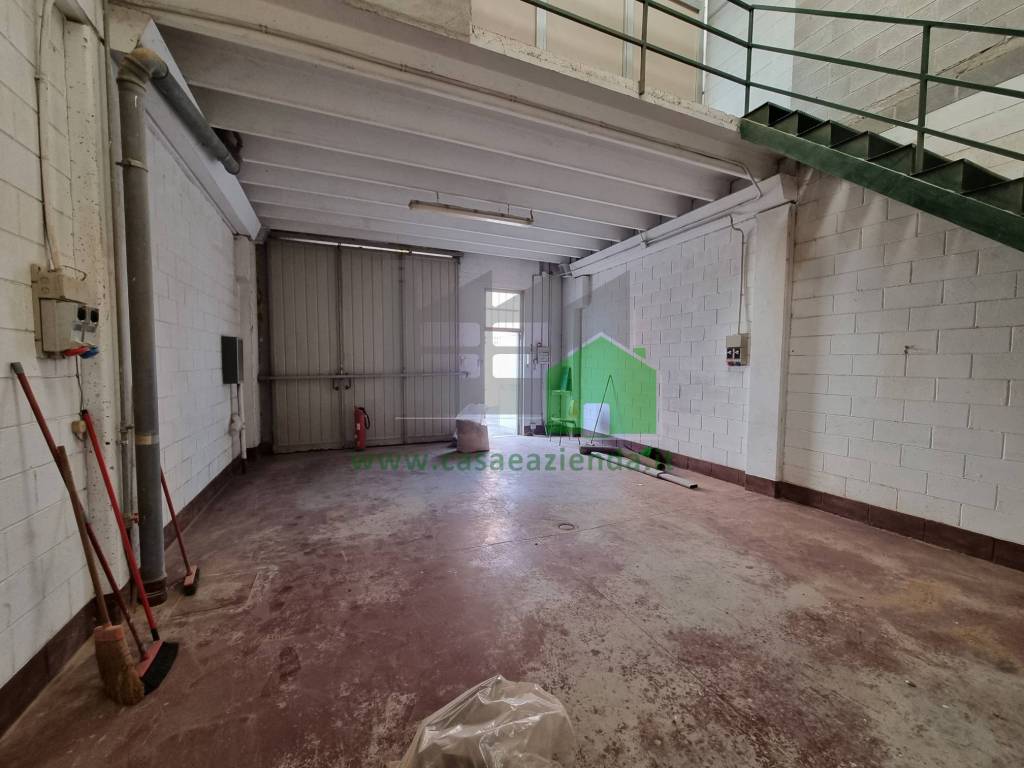 immagine annuncio 1 di 12