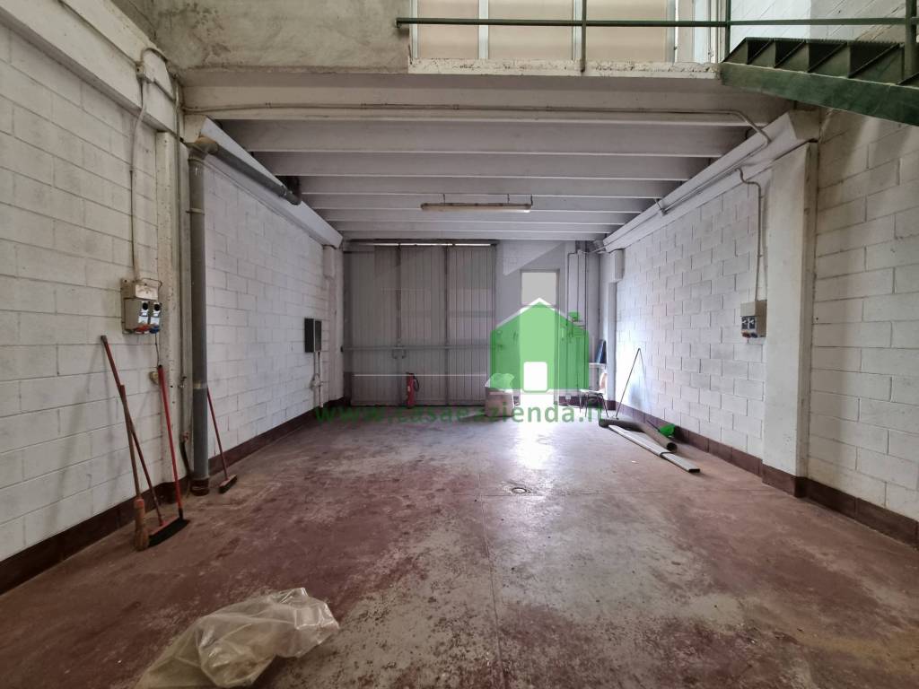 immagine annuncio 3 di 12