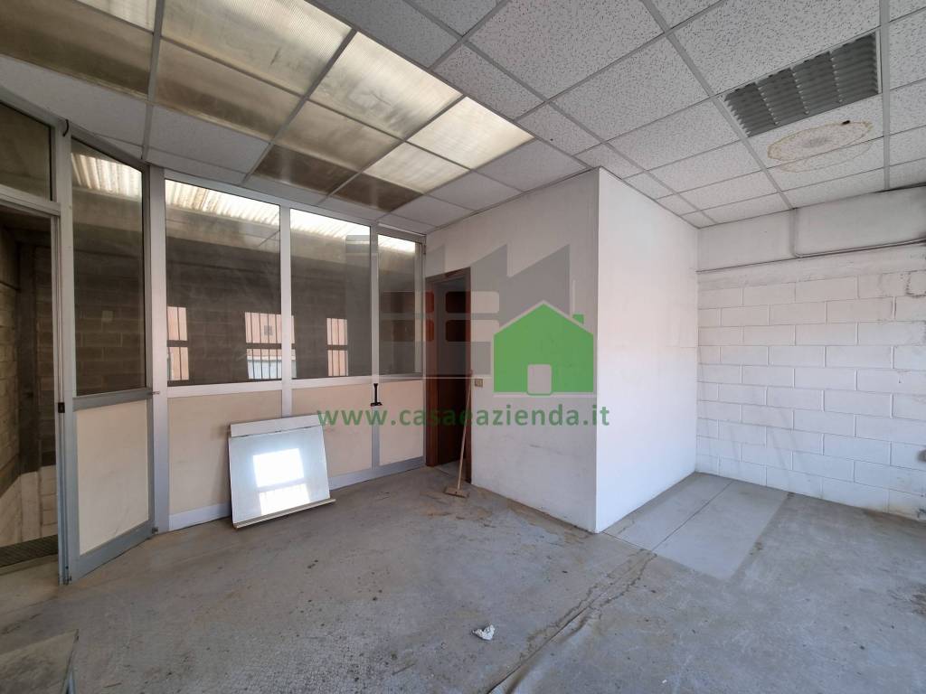 immagine annuncio 6 di 12