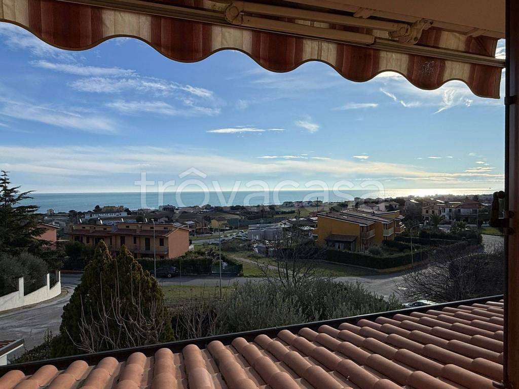 immagine annuncio 9 di 12