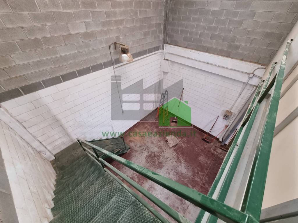 immagine annuncio 9 di 12