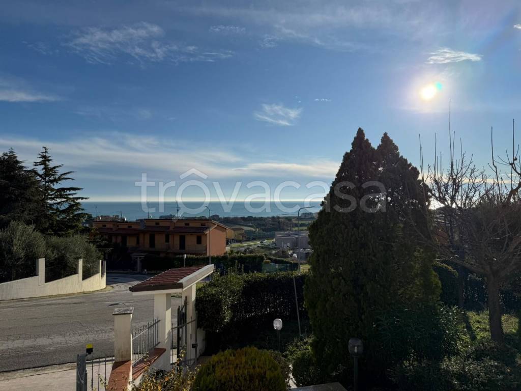 immagine annuncio 11 di 12