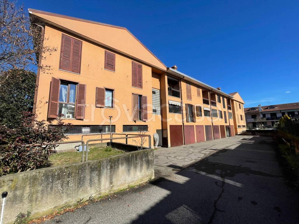 immagine annuncio 3 di 15