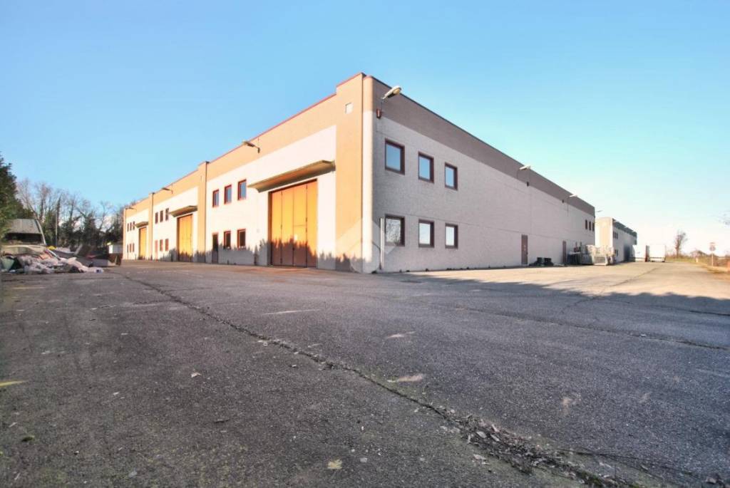 immagine annuncio 1 di 15