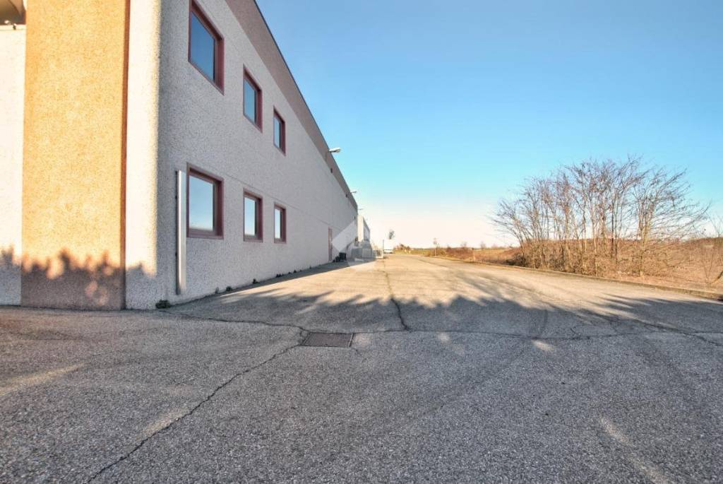 immagine annuncio 14 di 15