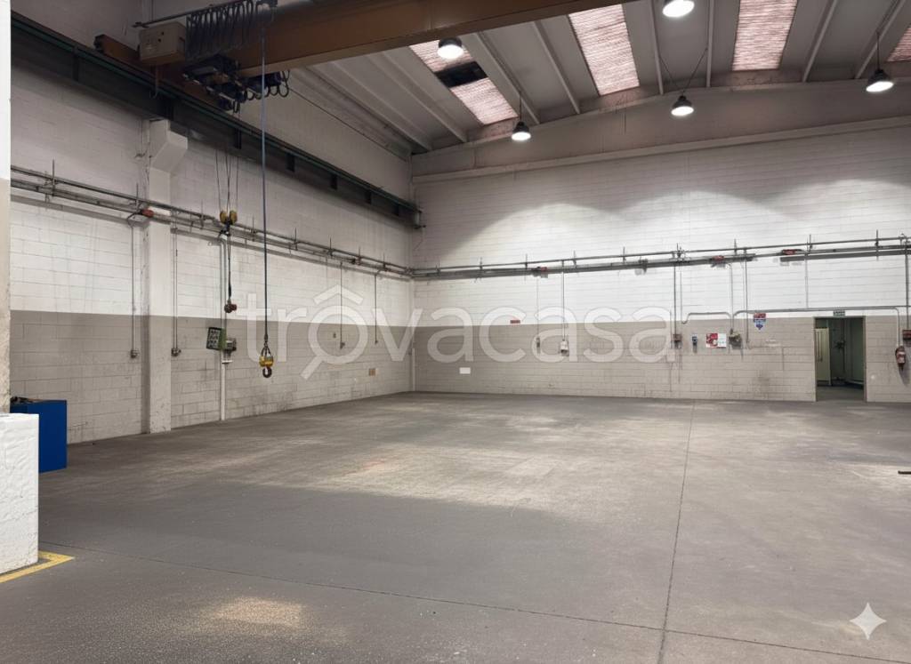 immagine annuncio 2 di 6