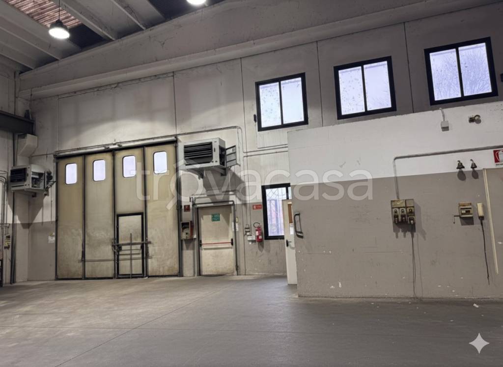 immagine annuncio 5 di 6