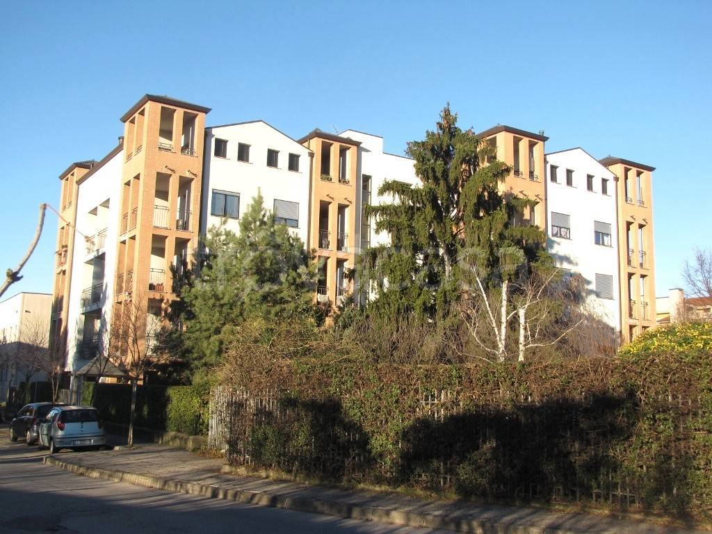 immagine annuncio 1 di 13