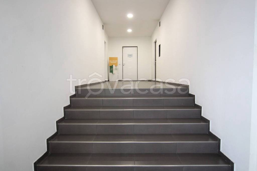 immagine annuncio 5 di 8