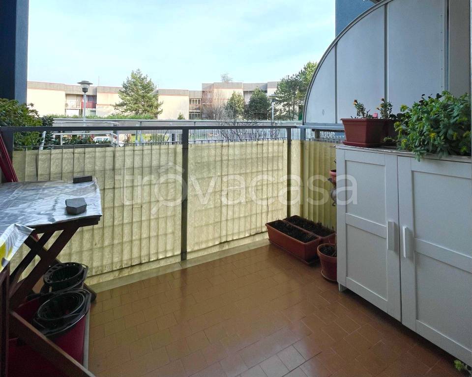 immagine annuncio 5 di 13