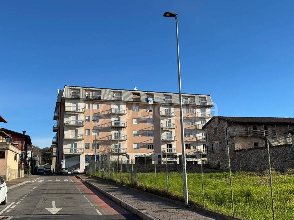 immagine annuncio 1 di 14