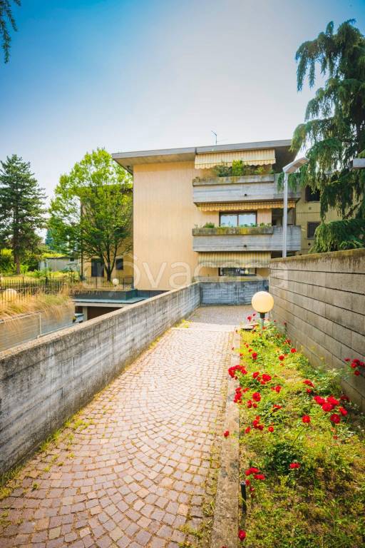 immagine annuncio 8 di 14