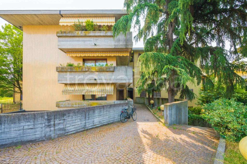 immagine annuncio 9 di 14