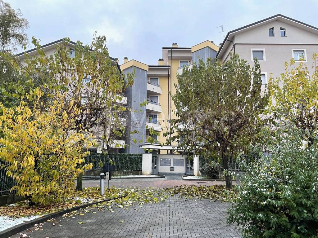 immagine annuncio 11 di 12