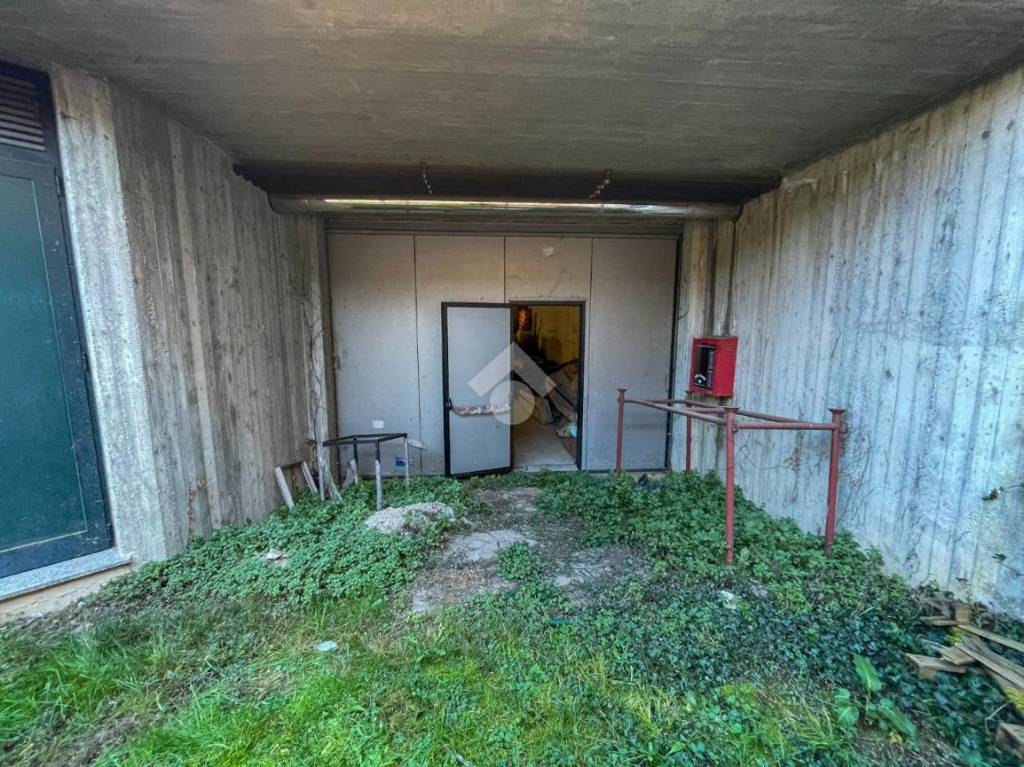 immagine annuncio 9 di 13