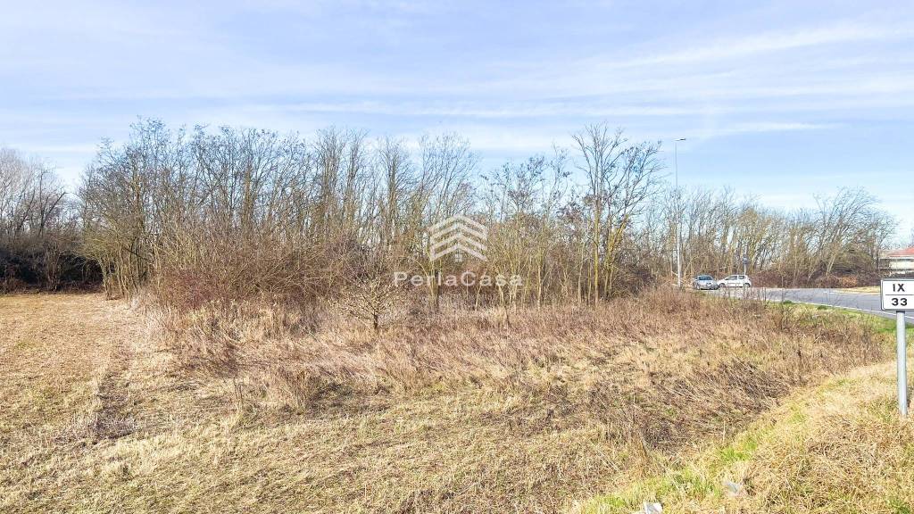 immagine annuncio 1 di 6