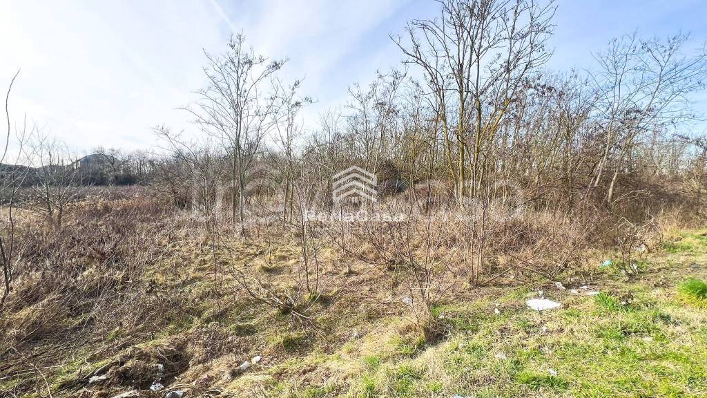 immagine annuncio 2 di 6