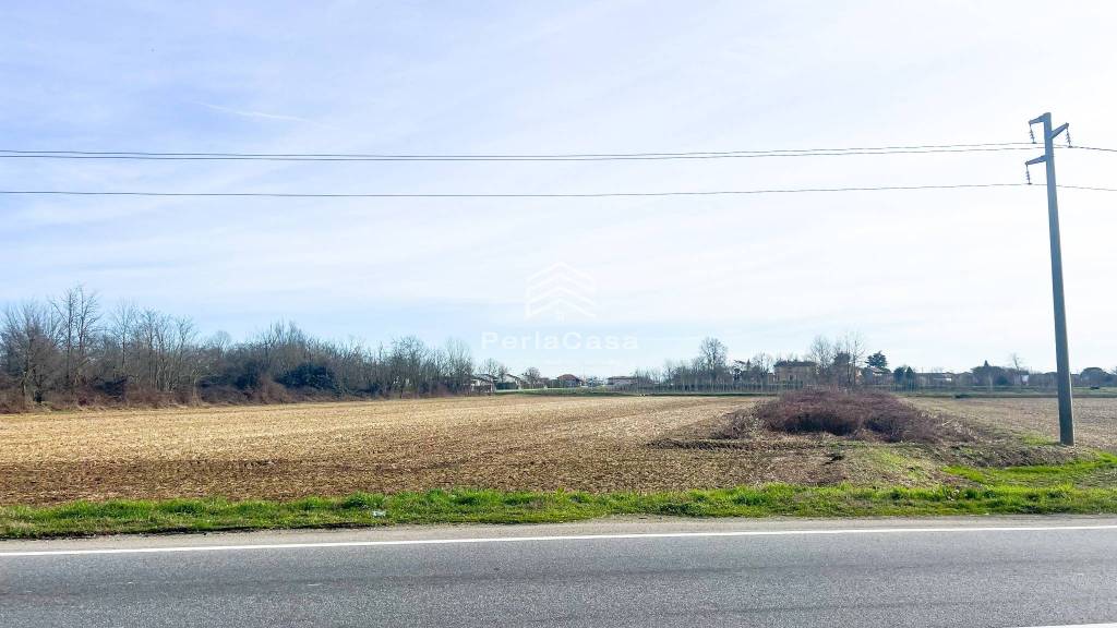 immagine annuncio 3 di 6