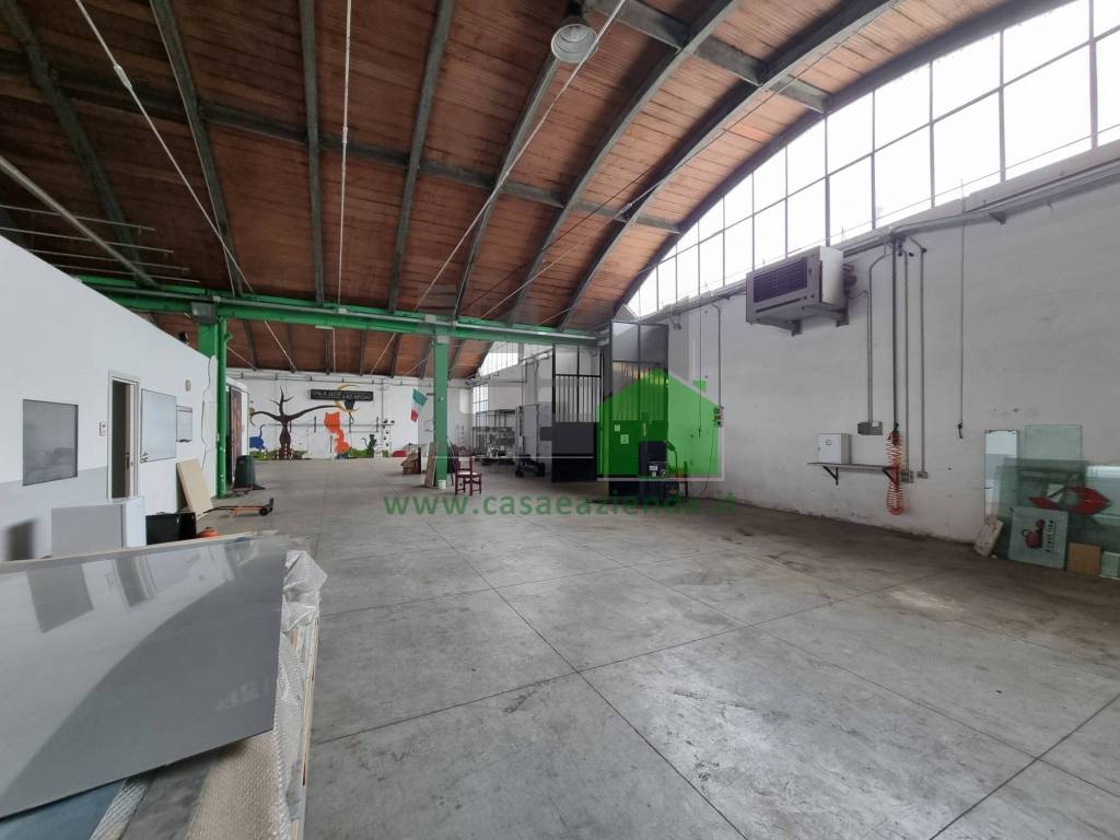 immagine annuncio 9 di 15