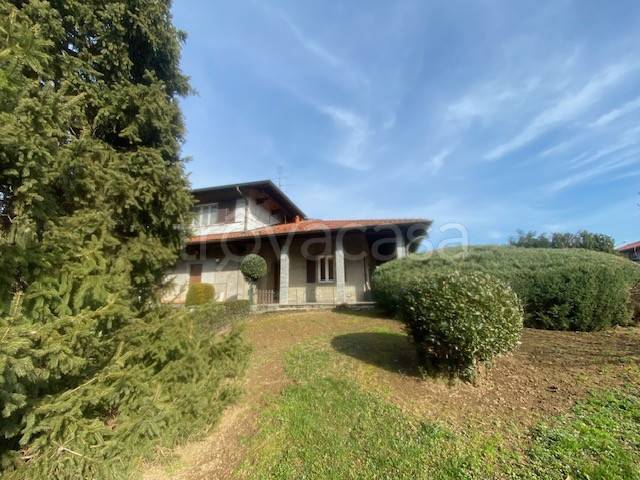 immagine annuncio 1 di 6