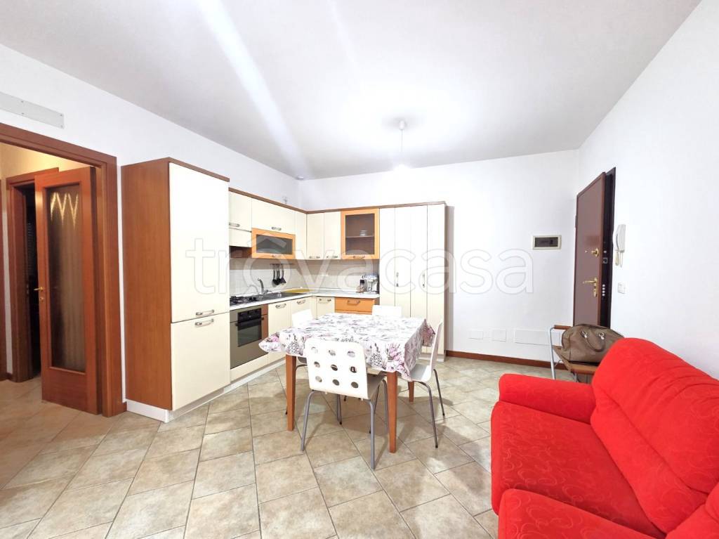 immagine annuncio 1 di 12