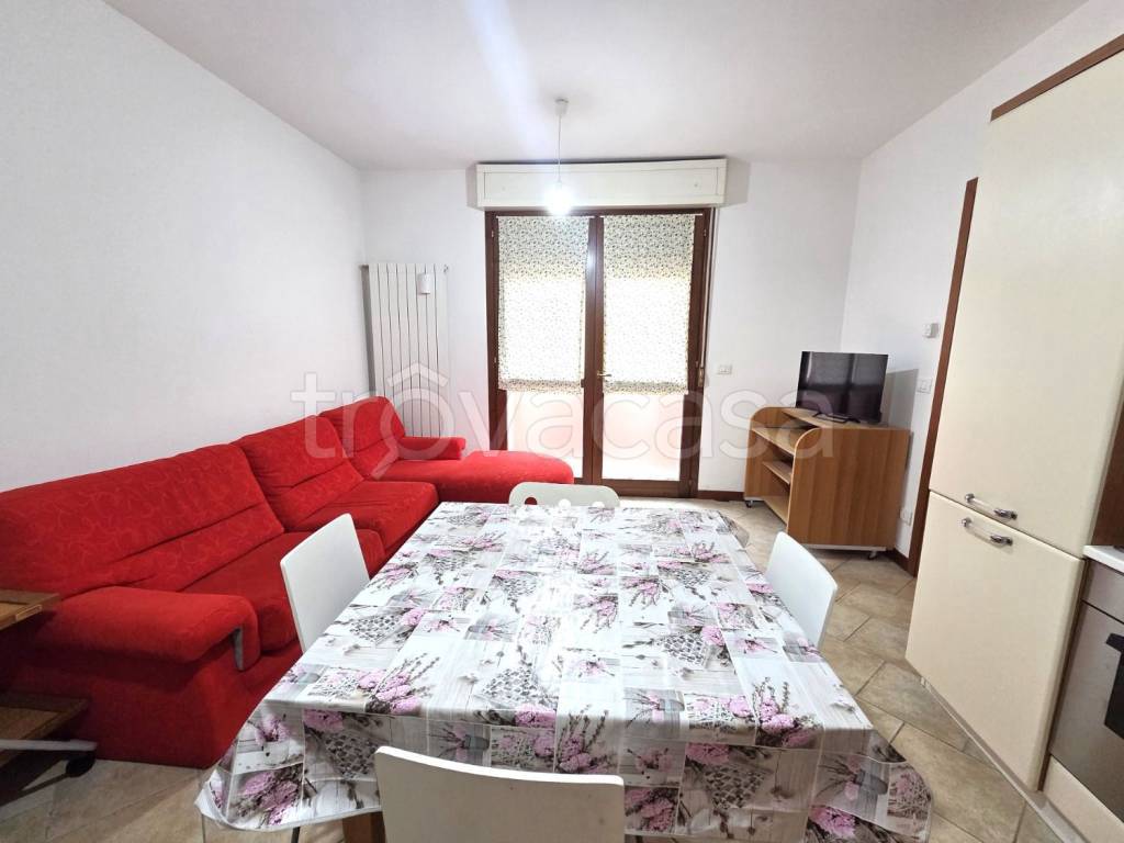 immagine annuncio 2 di 12