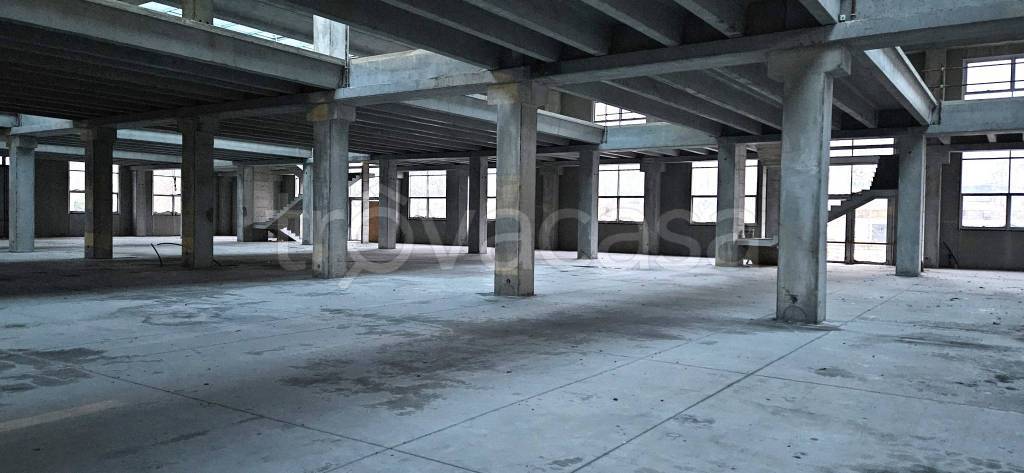 immagine annuncio 3 di 9