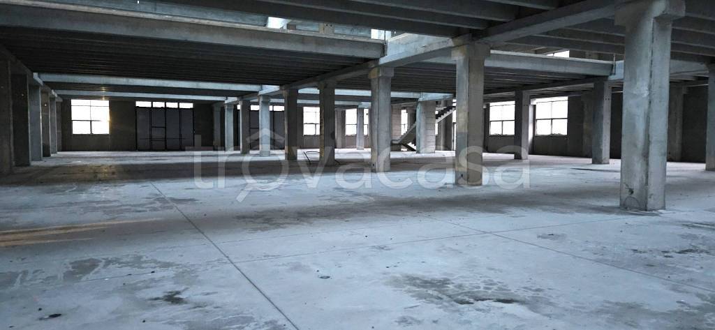 immagine annuncio 4 di 9