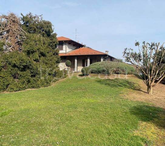 immagine annuncio 5 di 6