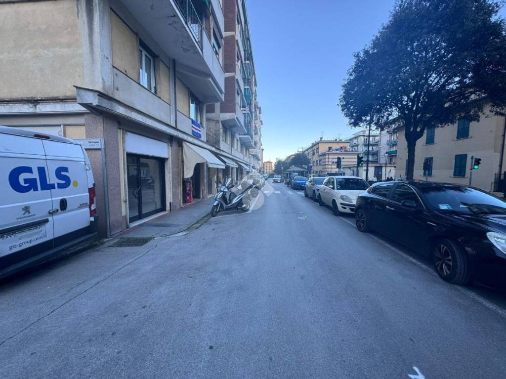 immagine annuncio 12 di 14