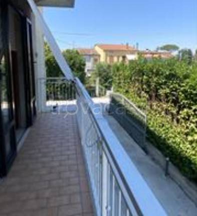 immagine annuncio 2 di 8