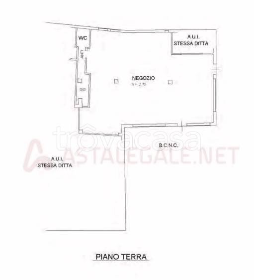 immagine annuncio 10 di 11