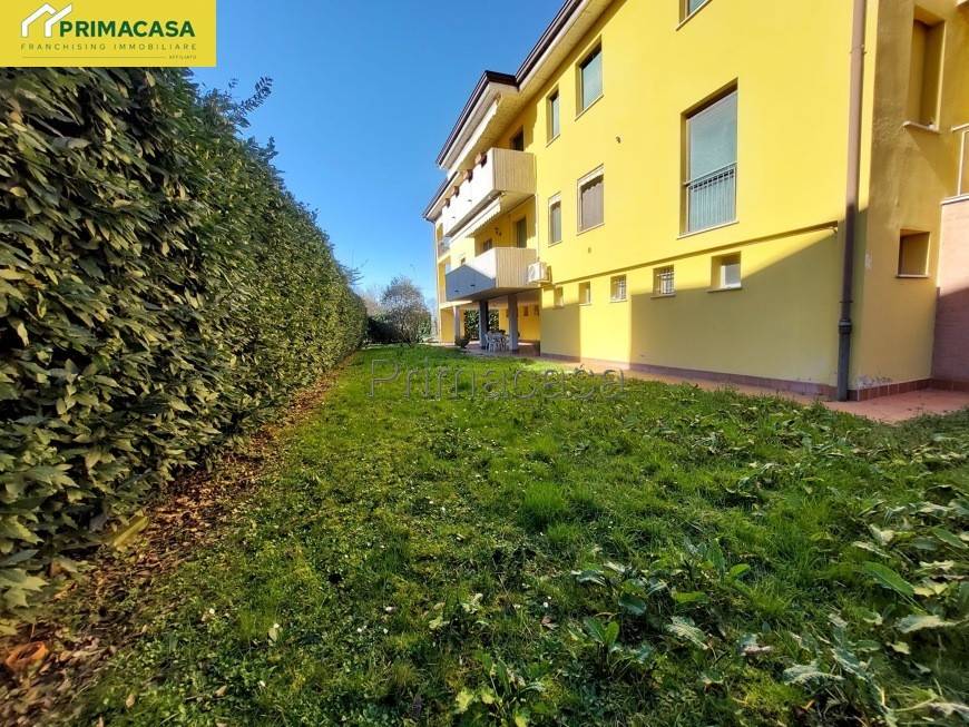 immagine annuncio 7 di 12