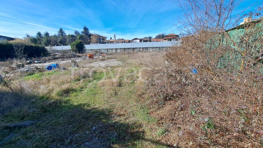 immagine annuncio 5 di 7